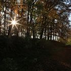 Die wahrscheinlich letzten schönen Tage des Herbst genießen