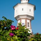 Die Wahrzeichen von Langeoog 