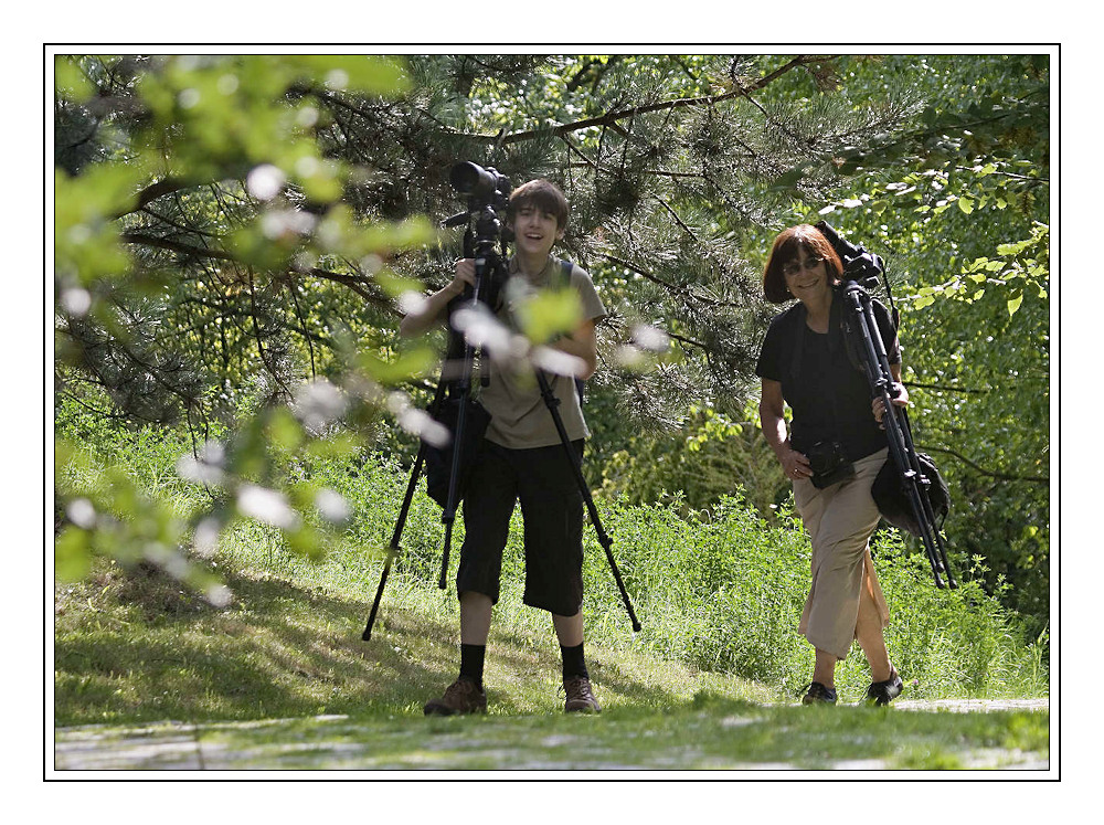 Die Wald-Paparazzi