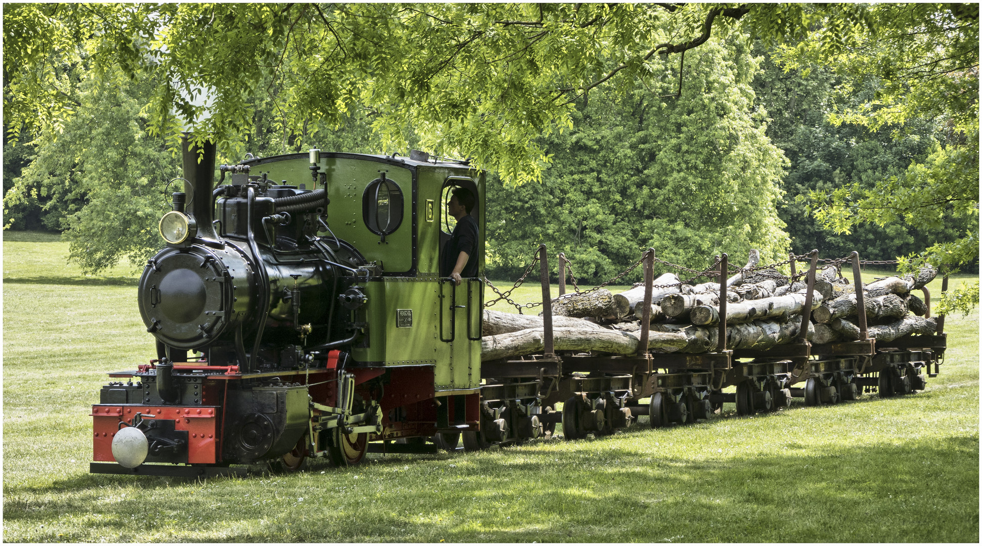 Die Waldbahn