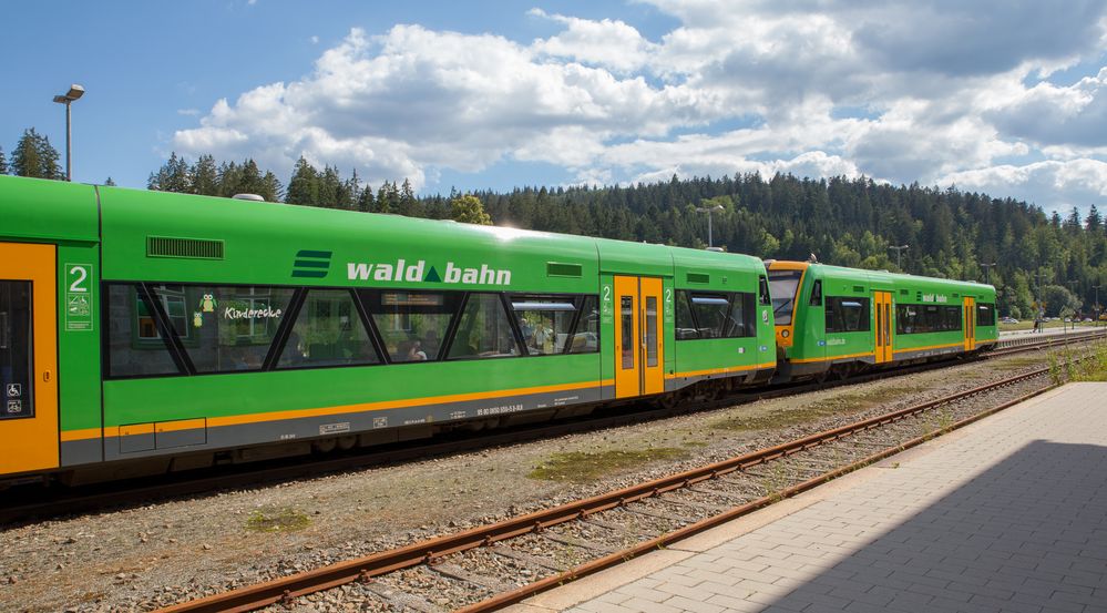 Die Waldbahn