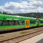 Die Waldbahn