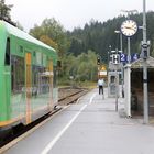 Die Waldbahn auf dem Weg nach Špicák (Železná Ruda)