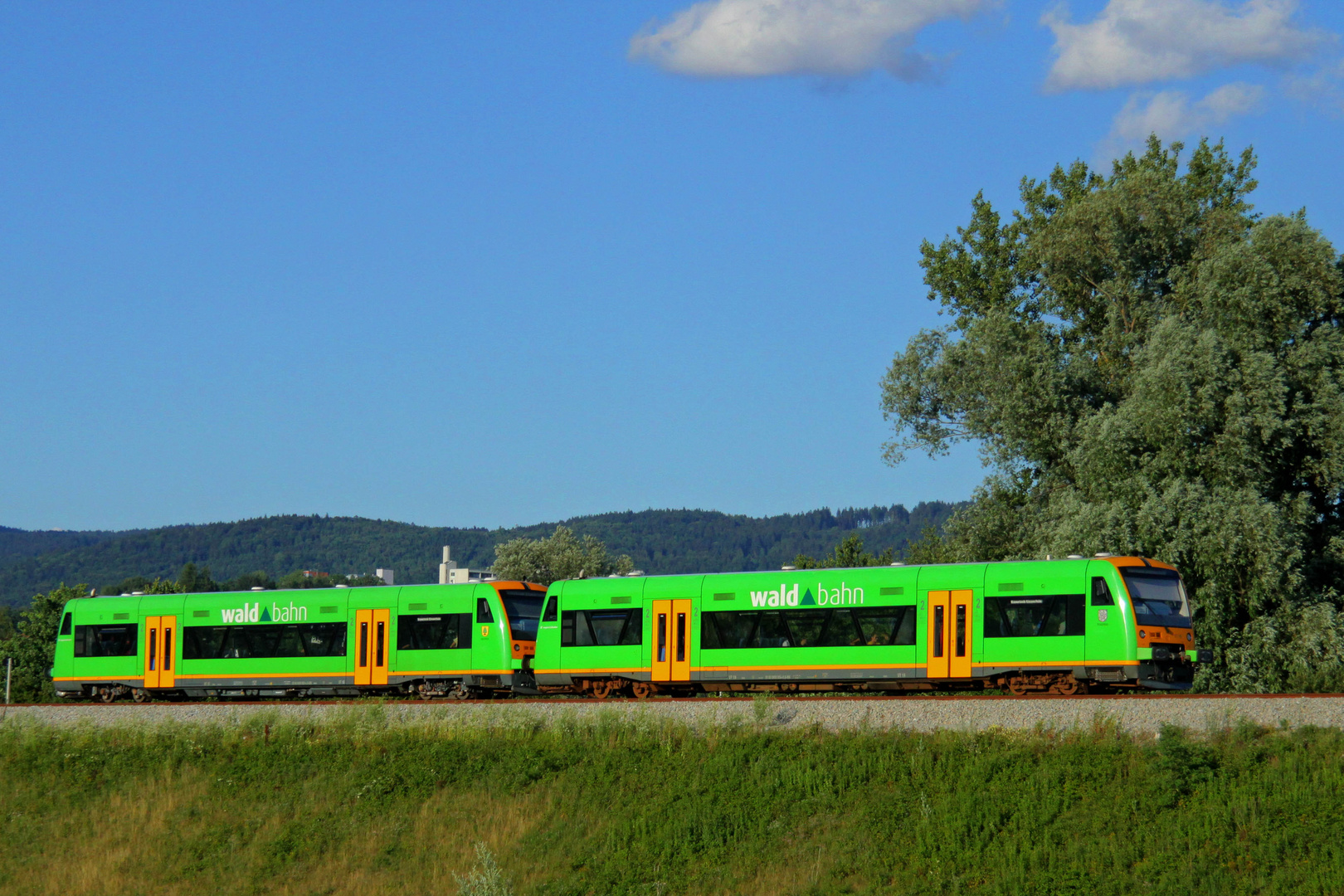 Die Waldbahn fährt ...