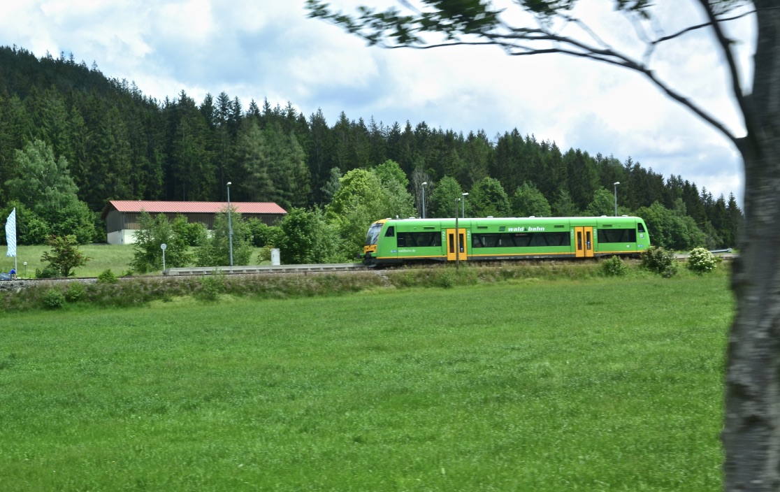 Die Waldbahn grüßt…