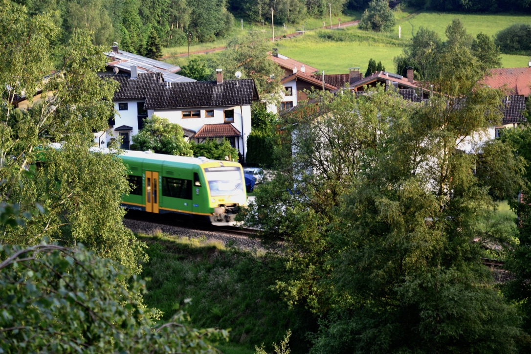 Die Waldbahn grüßt…