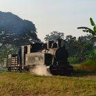 Die Waldbahn von Cepu auf Java 