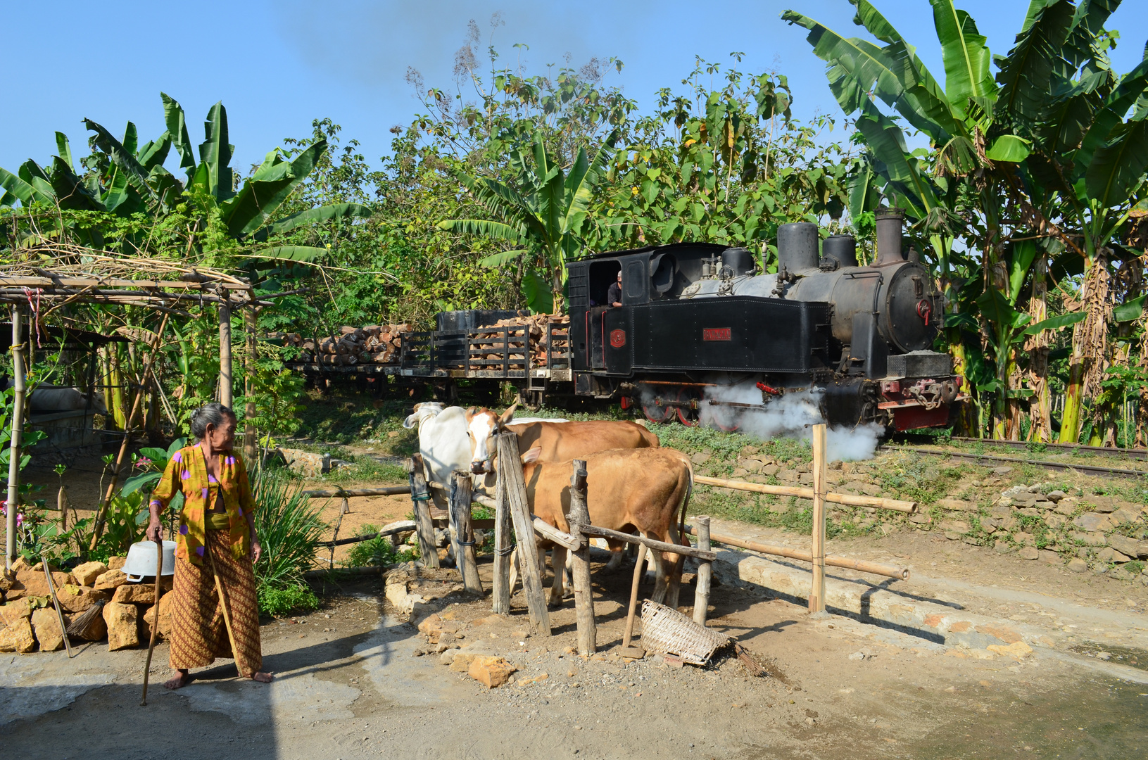 Die Waldbahn von Cepu (Indonesien)