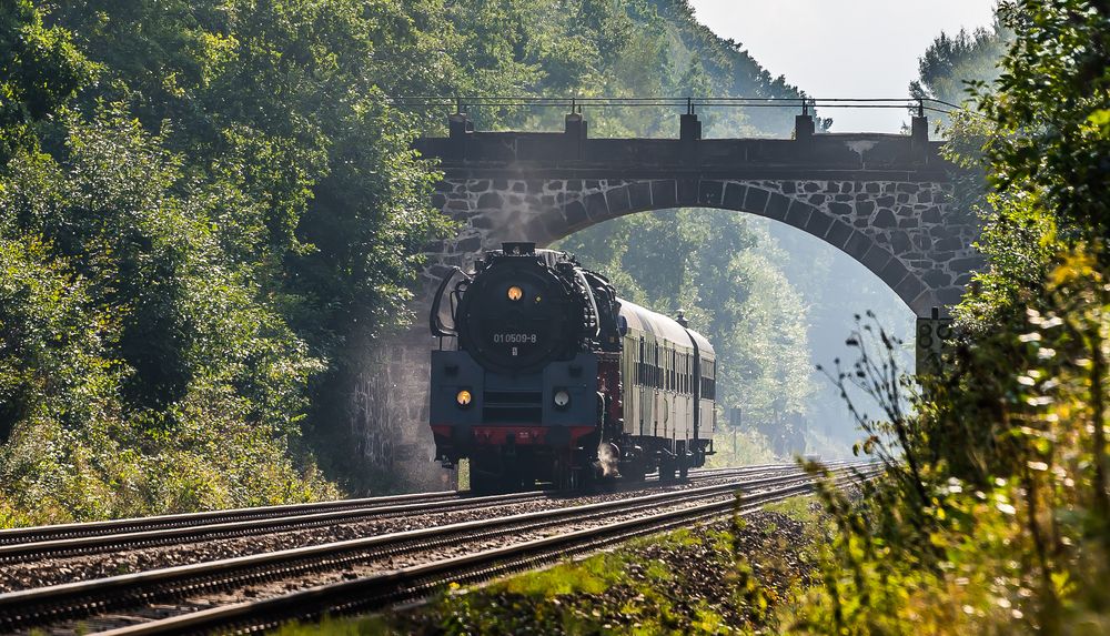 Die Waldbrücke bei Langebrück