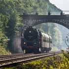 Die Waldbrücke bei Langebrück