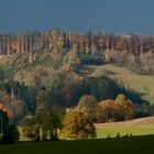 Die Waldburg