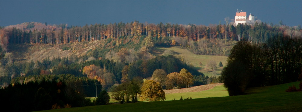 Die Waldburg