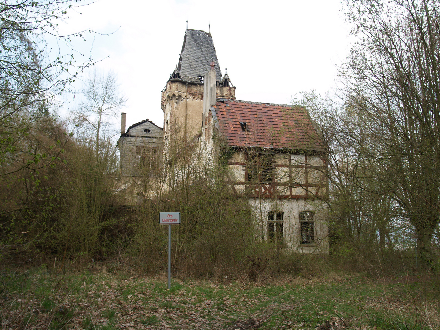 Die Waldburg