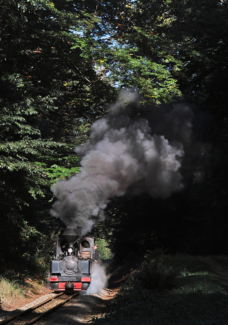 Die Waldeisenbahn Muskau ...