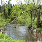 Die Waldnaab bei Tirschenreuth