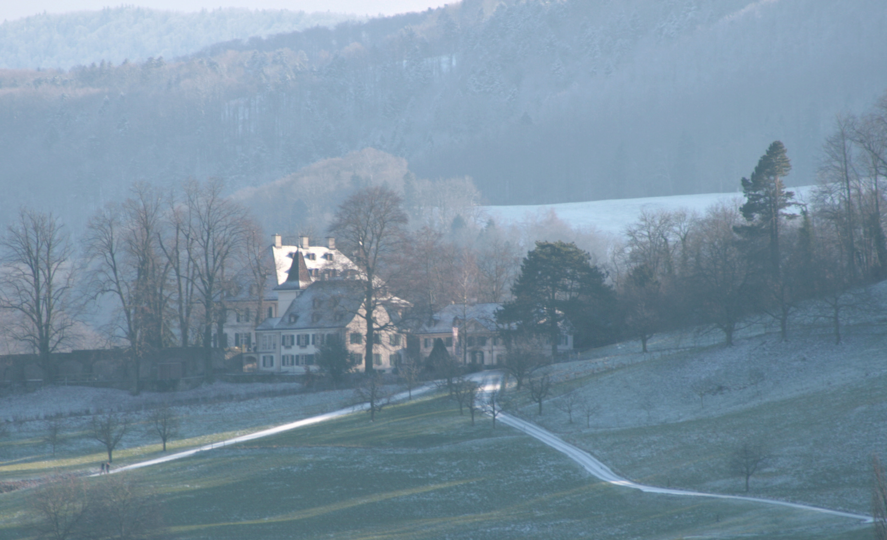 Die Waldschule