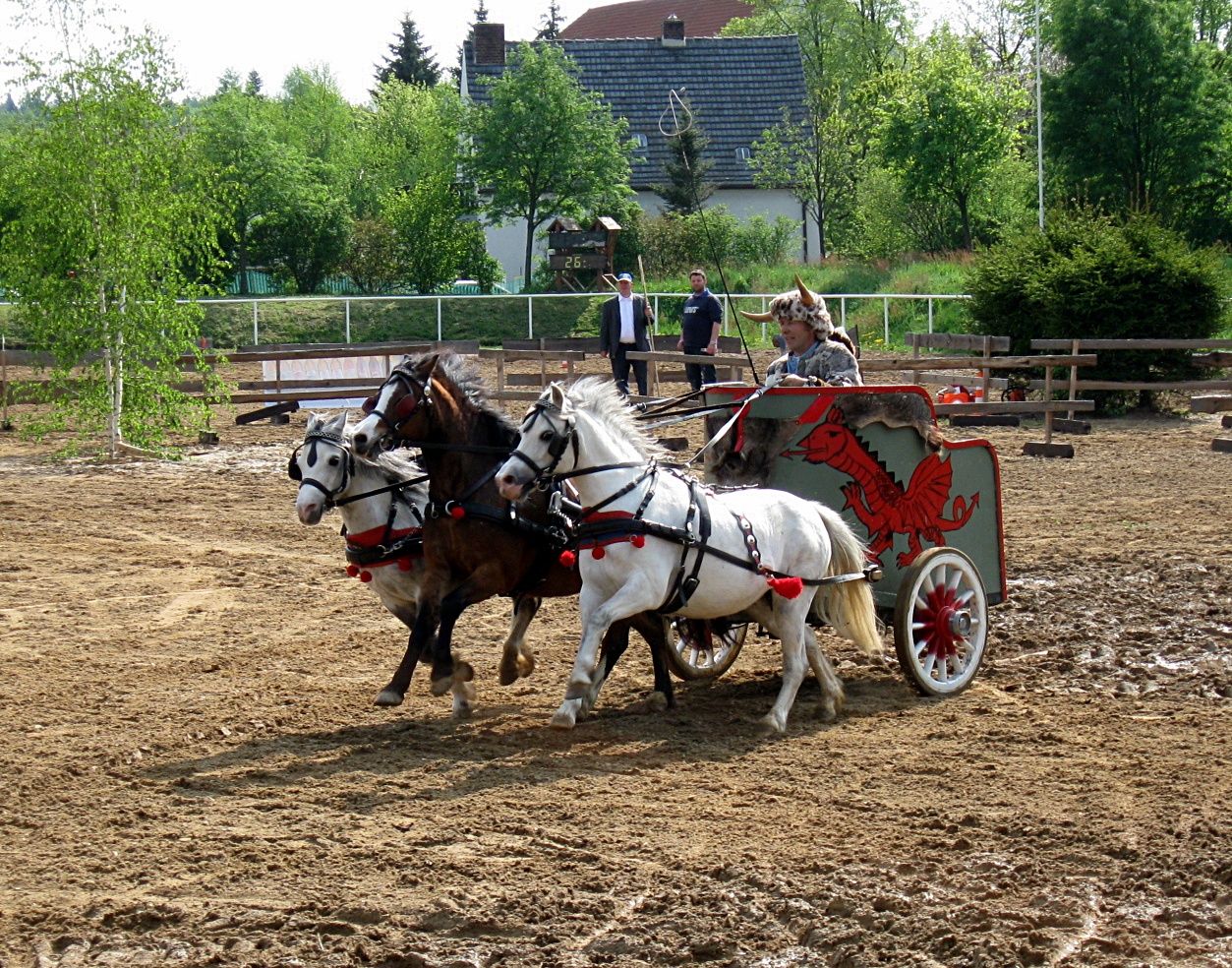 Die waliser "Römer" beim Streitwagenrennen