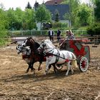 Die waliser "Römer" beim Streitwagenrennen