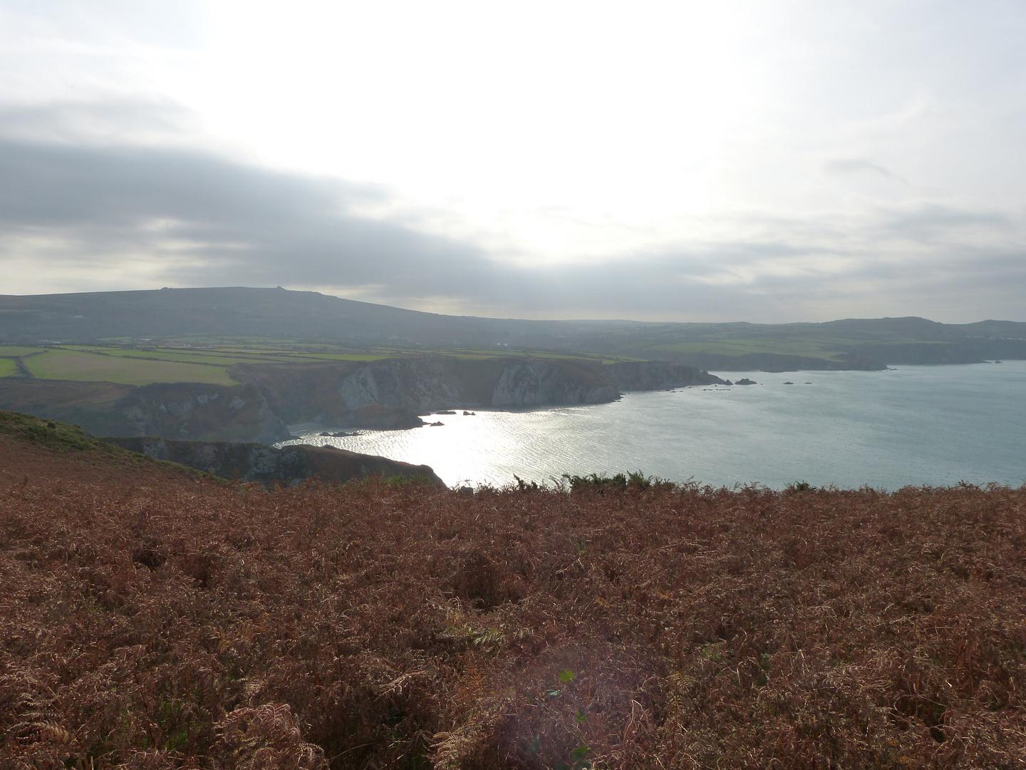 die walisische Küste an der Fishguard bay