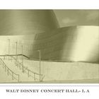die Walt Disney Concert Hall