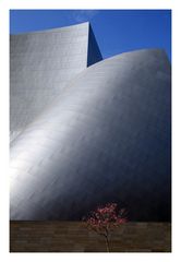 die Walt Disney Concert Hall in Downtown L.A.