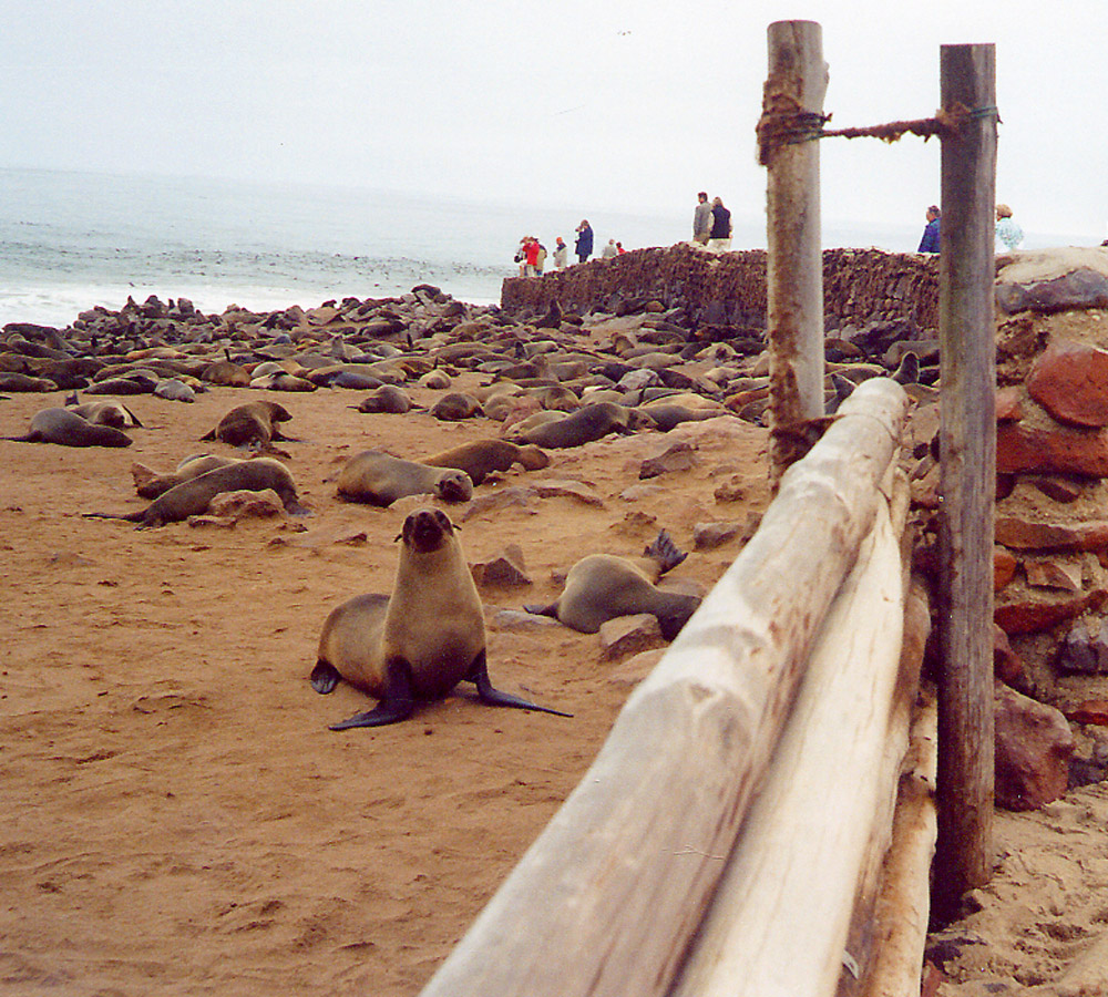 die walwisbay in namibia