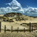 die Wanderdünen von Leba