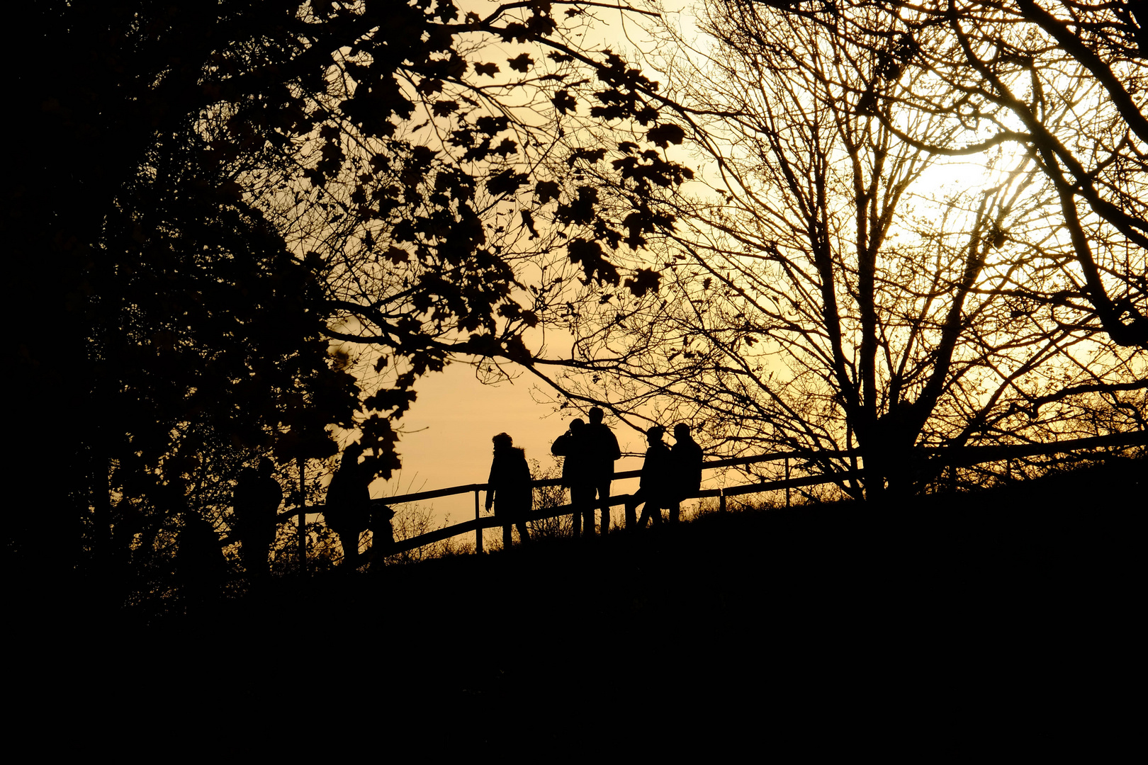 die Wandergesellschaft