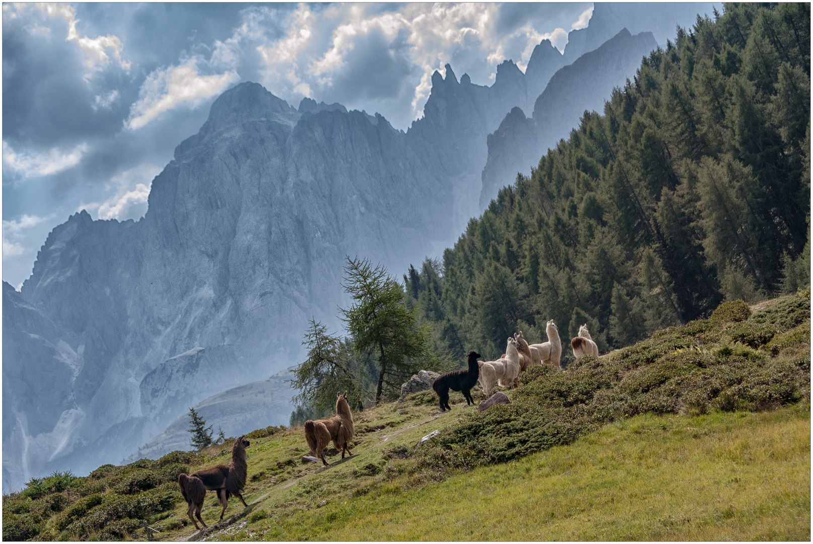 ~ Die Wandergruppe ~