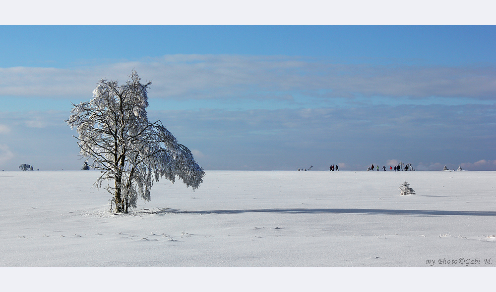 ~Die Wanderung~