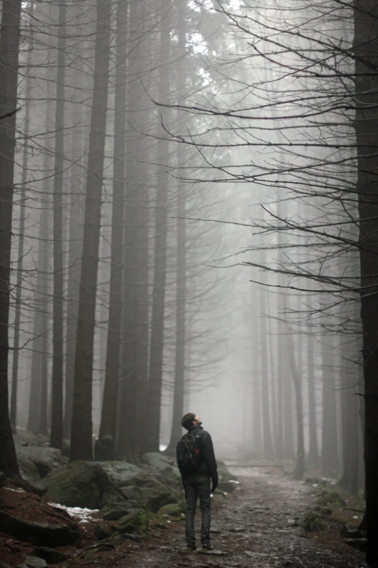 Die Wanderung