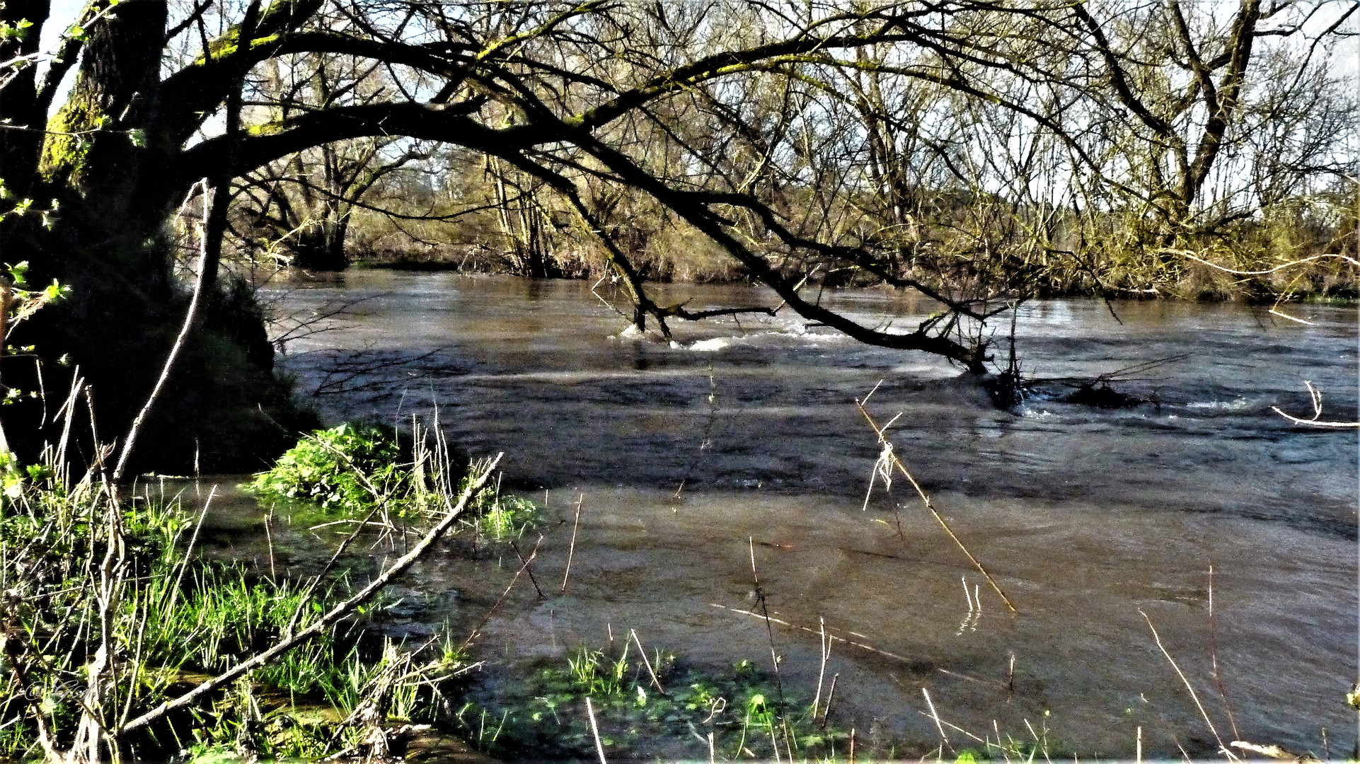 Die Wanne ist voll