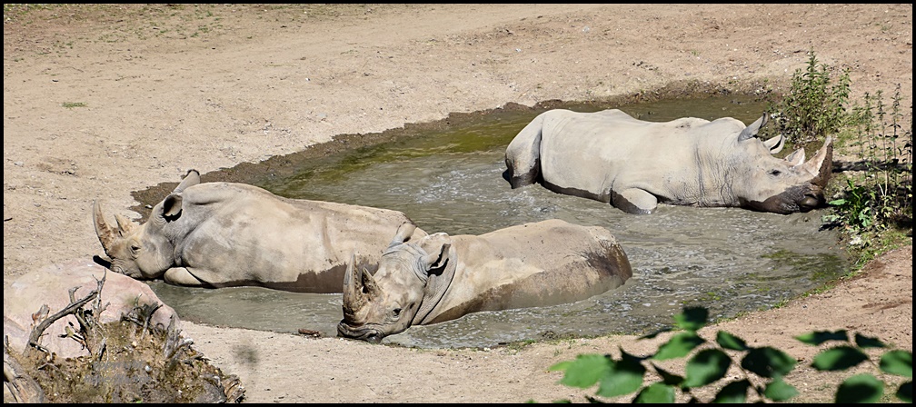 Die Wanne ist voll !!!!