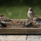 Die Wanne ist voll :-)))