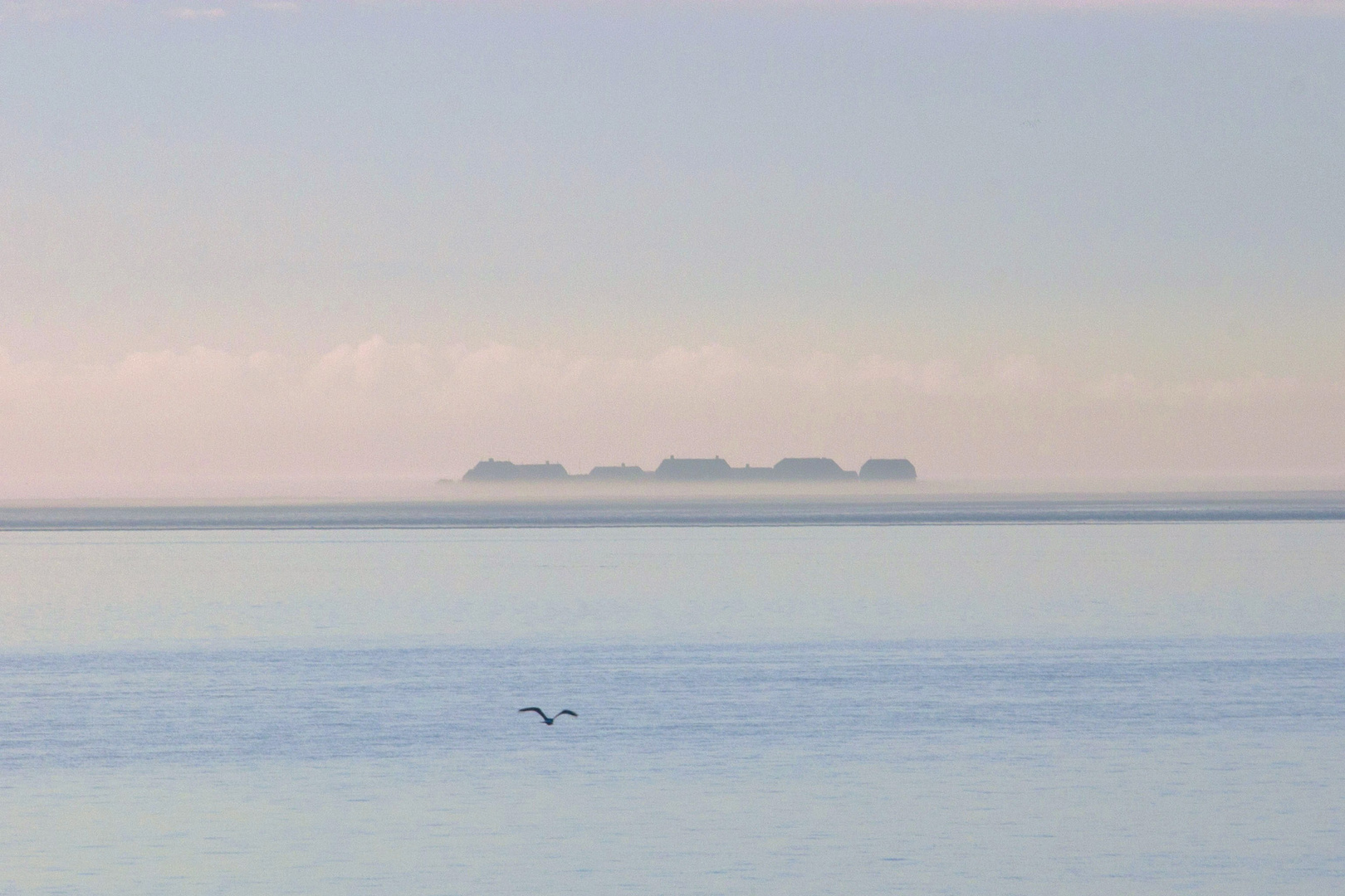 Die Warft Foto & Bild deutschland, europe, schleswig holstein Bilder