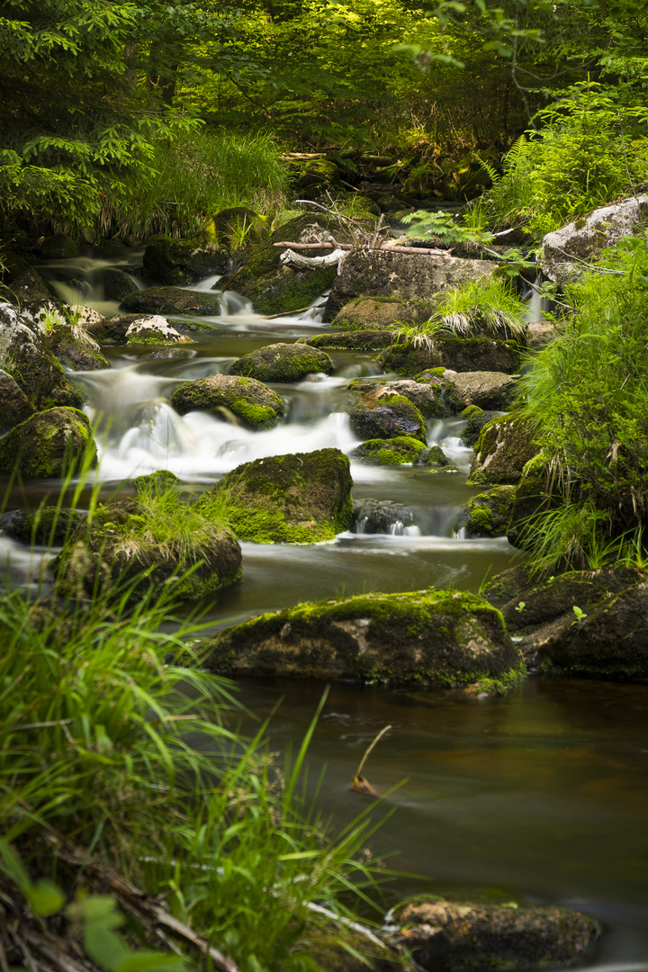 Die "Warme Bode" im Harz