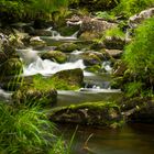 Die "Warme Bode" im Harz