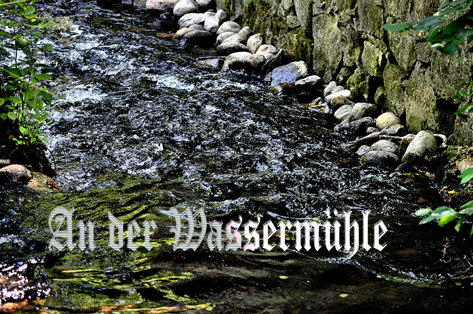 die WARNOW-karnin