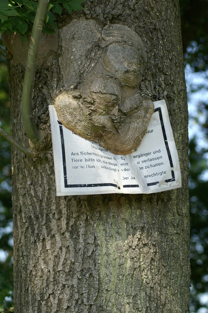 Die Warnung des Jagdberechtigten