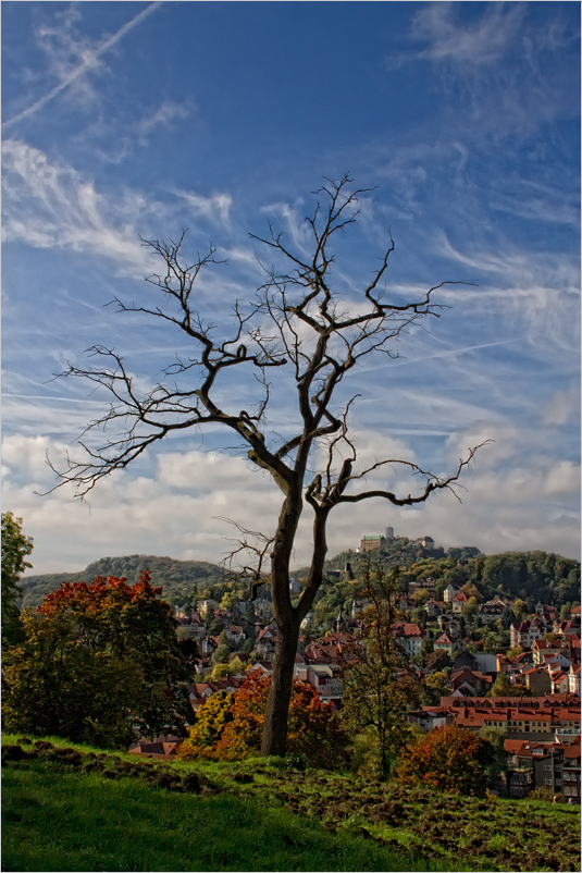 Die Wartburg ...