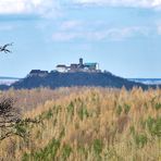 Die Wartburg im April