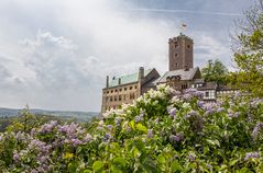 Die Wartburg im Fliederrausch