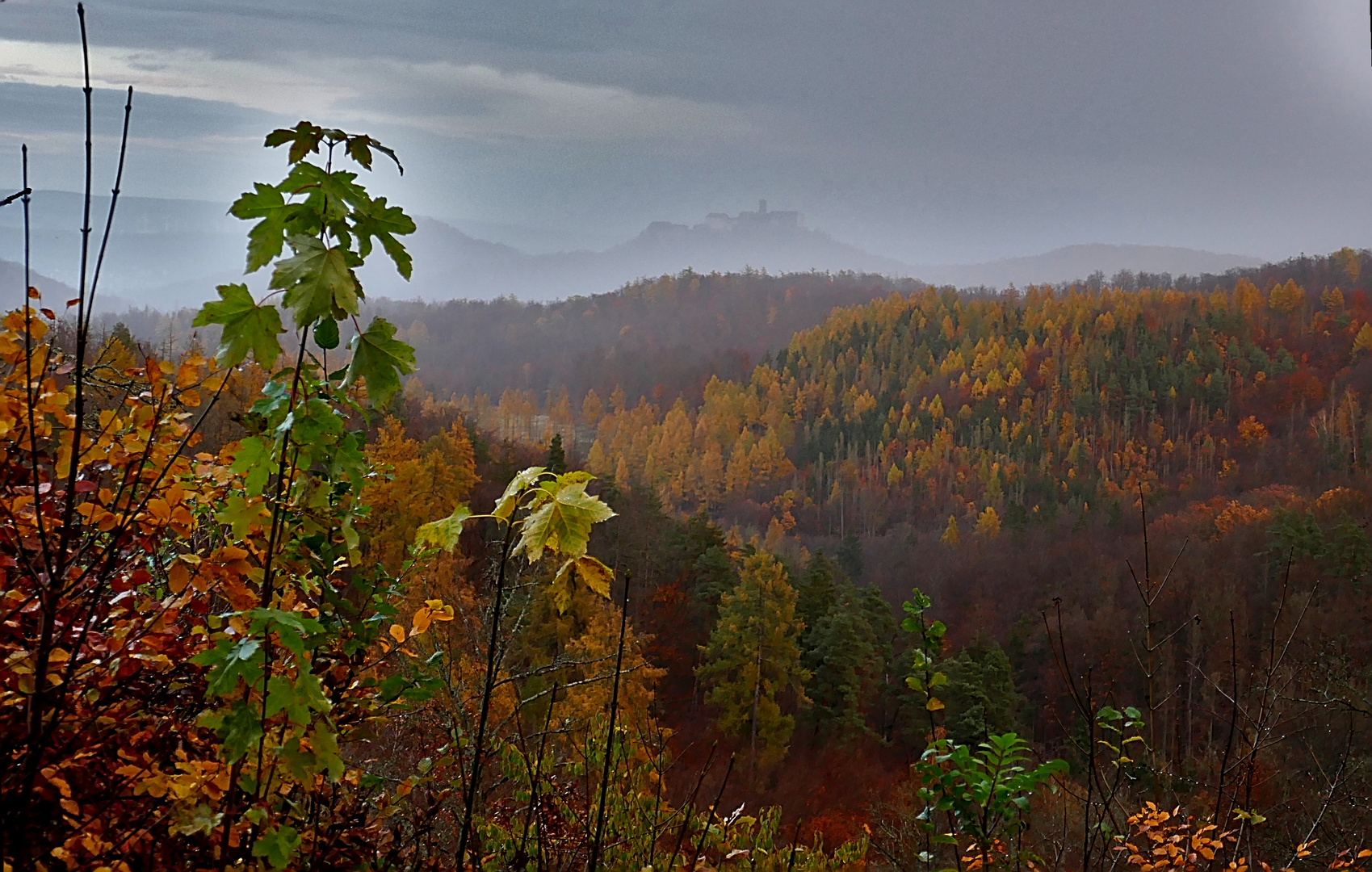 Die Wartburg im nebligen Hintergrund