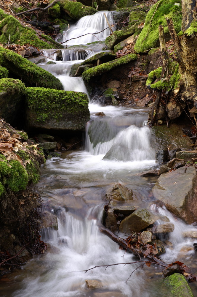 "Die Wasser von Brachttal"