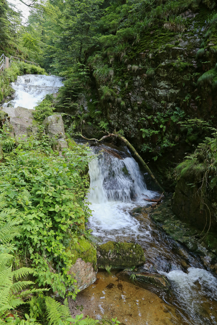 Die Wasserfälle bei Allerheiligen (2016_06_10_EOS 6D_6272_ji)