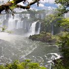 Die Wasserfälle von Iguazu - argentinische Seite