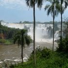 Die Wasserfälle von Iguazu, Brasilien/Argentinien