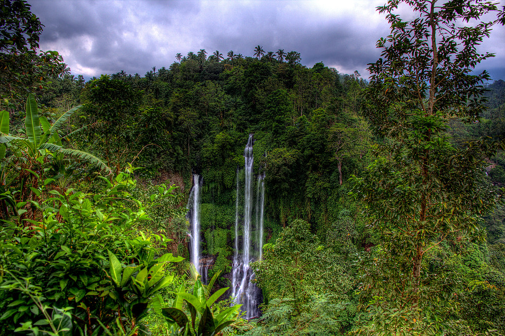 Die Wasserfälle von Sekumpul - Bali