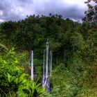 Die Wasserfälle von Sekumpul - Bali