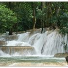 Die Wasserfälle von Tad Sae - Luang Prabang, Laos